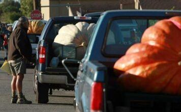 Як розрахувати вантажопідйомність вашого автомобіля, не ризикуючи комфортом поїздки